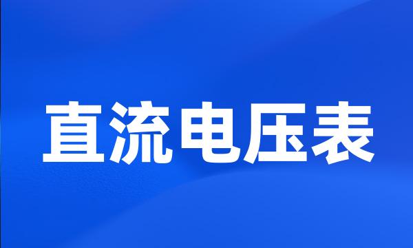 直流电压表