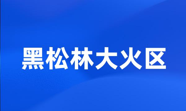 黑松林大火区