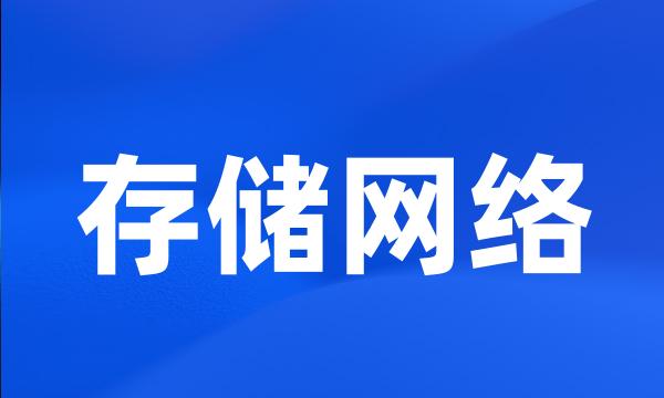 存储网络