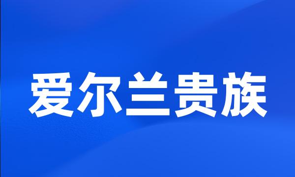 爱尔兰贵族