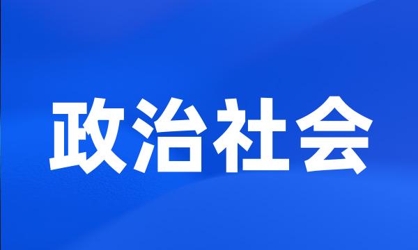 政治社会