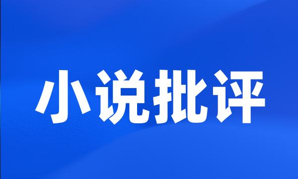 小说批评