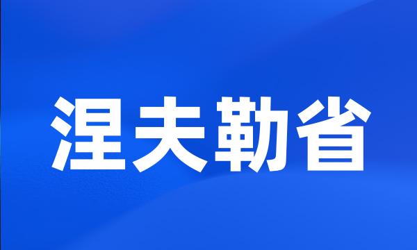 涅夫勒省