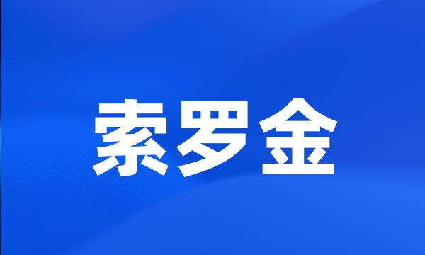 索罗金