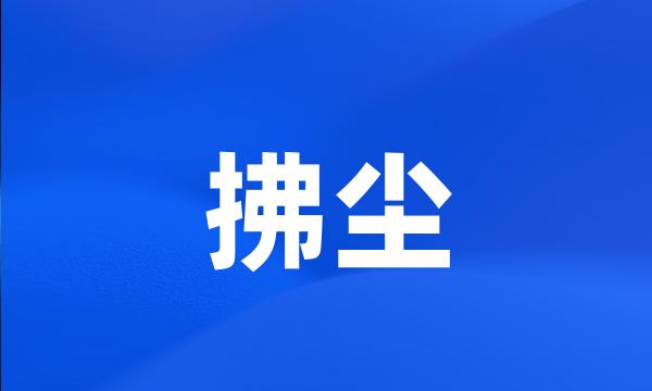 拂尘