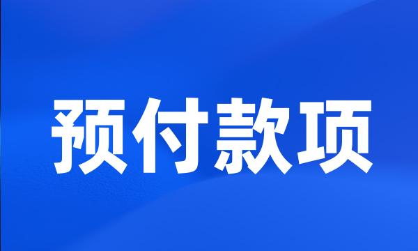 预付款项