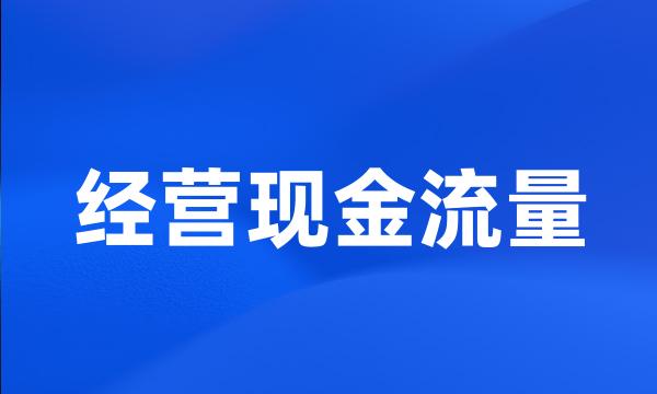 经营现金流量