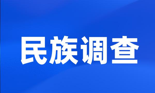 民族调查