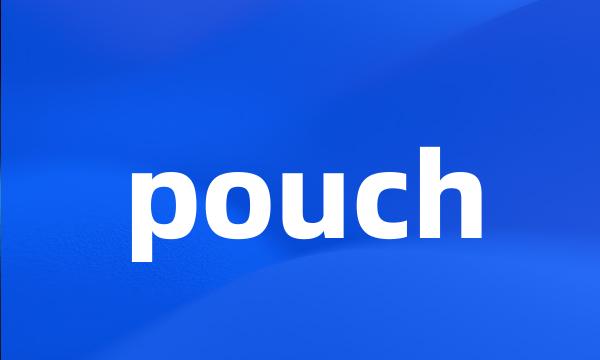 pouch