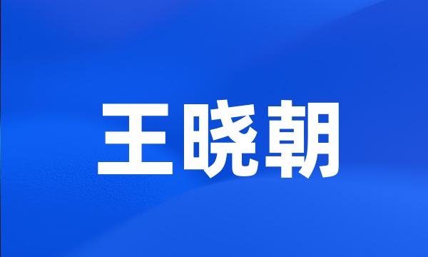 王晓朝