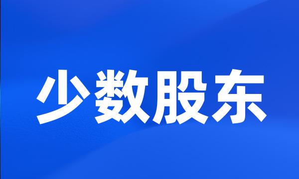 少数股东