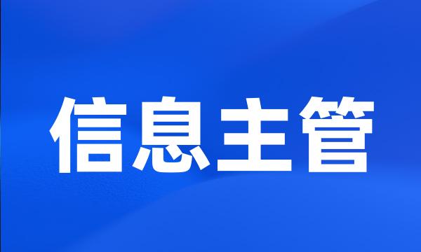 信息主管