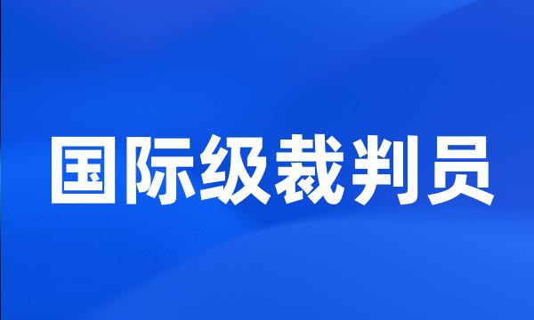 国际级裁判员