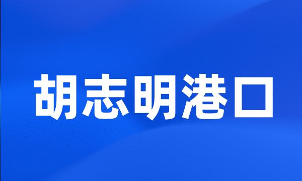 胡志明港口