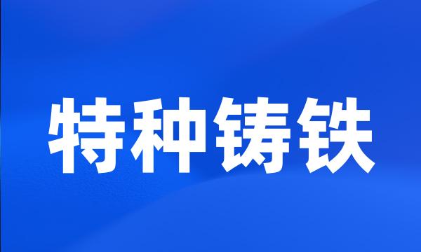 特种铸铁