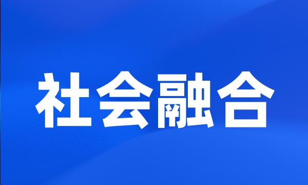 社会融合