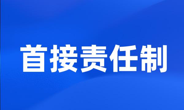 首接责任制