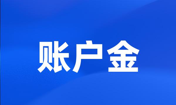 账户金