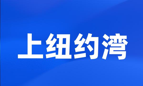 上纽约湾