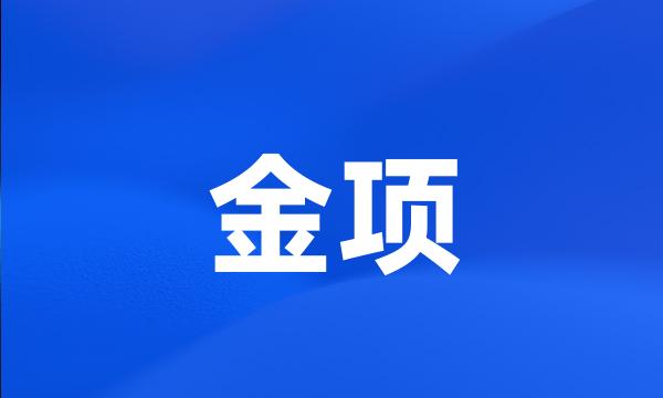 金项