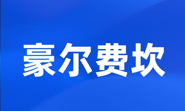 豪尔费坎