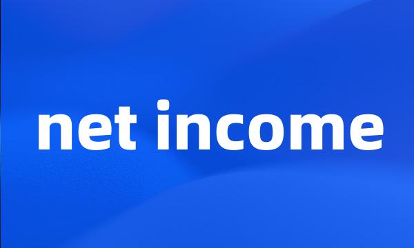 net income