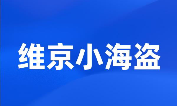 维京小海盗