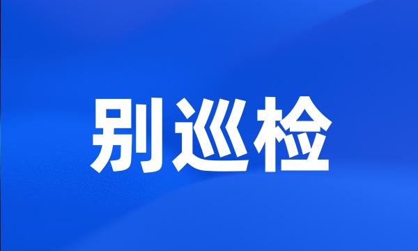 别巡检