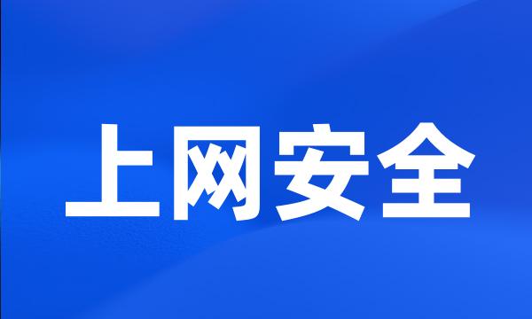 上网安全