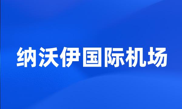 纳沃伊国际机场