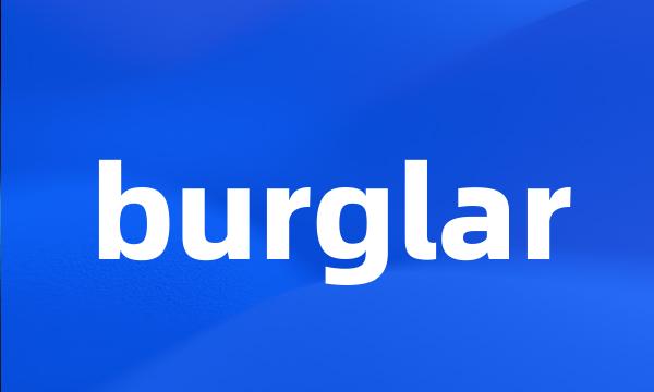 burglar