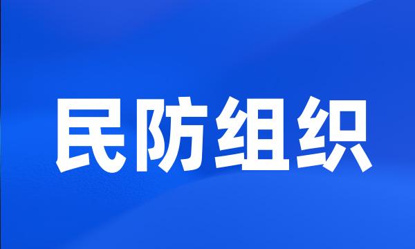 民防组织