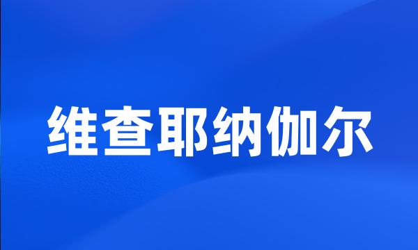 维查耶纳伽尔