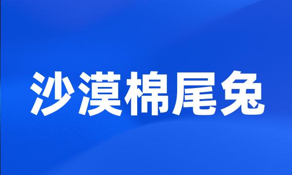 沙漠棉尾兔