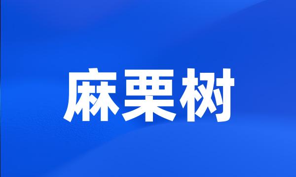 麻栗树