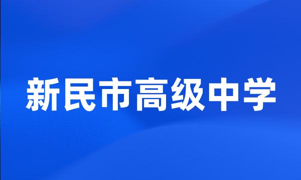 新民市高级中学