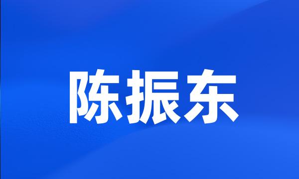 陈振东