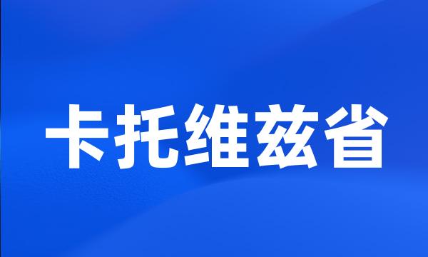 卡托维兹省