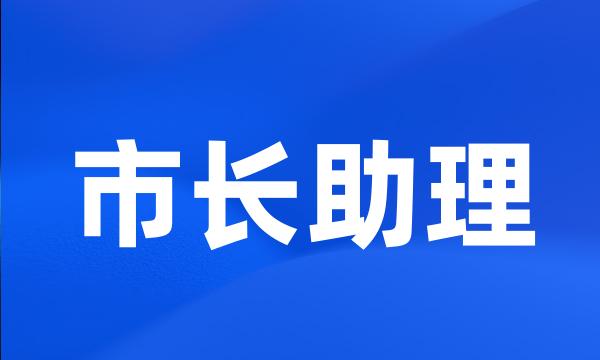 市长助理