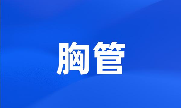 胸管