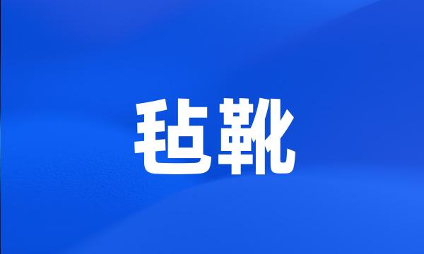 毡靴