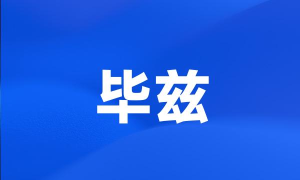 毕兹