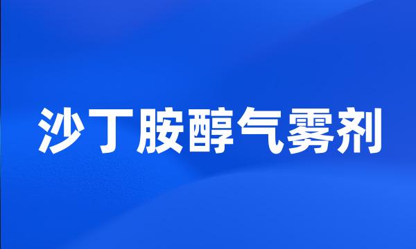 沙丁胺醇气雾剂