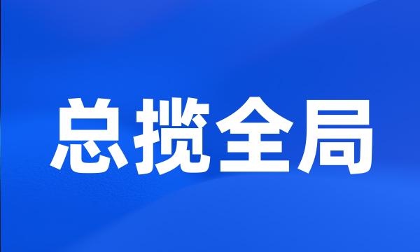 总揽全局