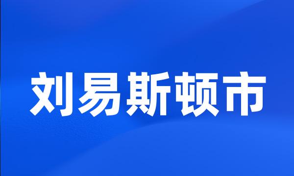 刘易斯顿市