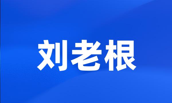 刘老根