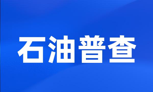 石油普查