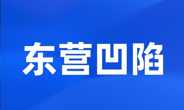 东营凹陷