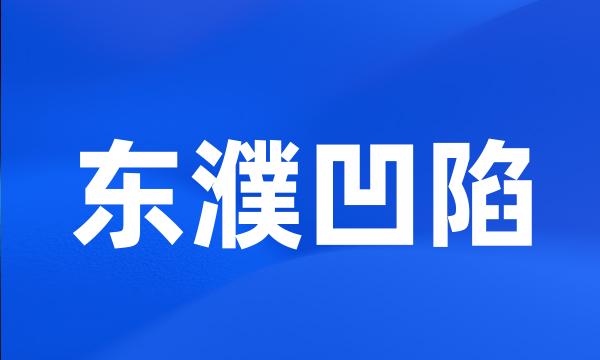 东濮凹陷