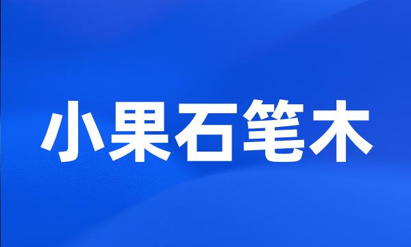 小果石笔木